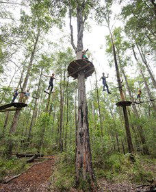 TreeTop Adventure Park Central Coast - Hervey Bay Accommodation 4