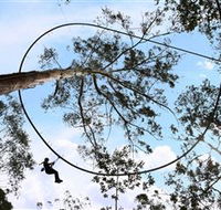 TreeTops Crazy Rider - Hervey Bay Accommodation