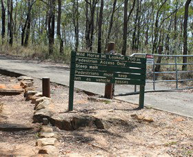 Wild Horse Mountain Lookout - Tourism Hervey Bay 0