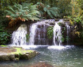 Barrington Tops National Park Walks - Hervey Bay Accommodation 0