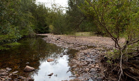 Budawang National Park - Hervey Bay Accommodation 2