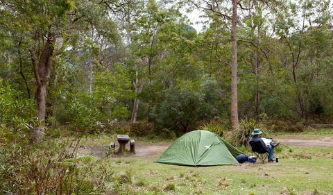 Budawang National Park - Hervey Bay Accommodation 3
