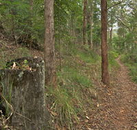 Border loop walk - Hervey Bay Accommodation