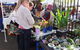 Glebe Markets - thumb 3