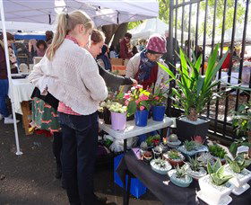 Glebe Markets - Hervey Bay Accommodation 3