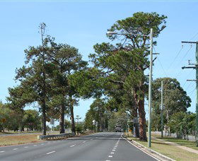 Anzac Memorial Avenue, Redcliffe - Hervey Bay Accommodation 2