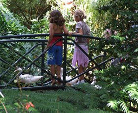 EG Waterhouse National Camellia Garden - Tourism Hervey Bay 0