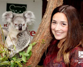  Hervey Bay Accommodation