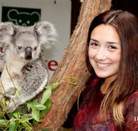 Blackbutt Reserve - Hervey Bay Accommodation