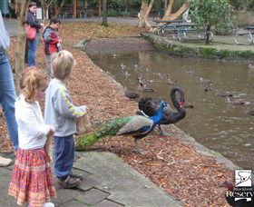 Blackbutt Reserve - Hervey Bay Accommodation 5