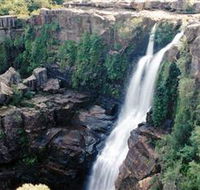 Minnamurra Rainforest Centre Budderoo National Park - Hervey Bay Accommodation