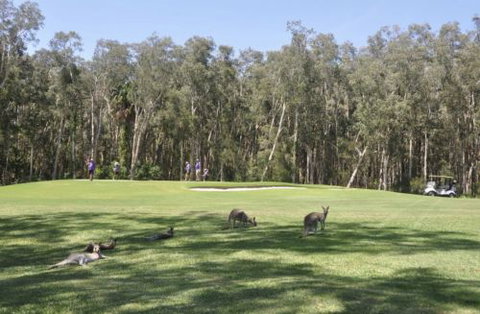 Emerald Downs Golf Course - Hervey Bay Accommodation 4