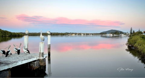 Galleries In The Gardens - Tourism Hervey Bay 3