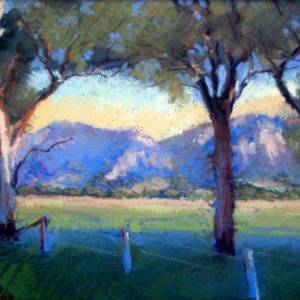 Galleries In The Gardens - Tourism Hervey Bay 4