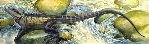 Manning Regional Art Gallery - Hervey Bay Accommodation 4