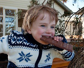 The Sydney Chocolate School - Hervey Bay Accommodation 0