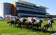 Royal Randwick Racecourse - thumb 0