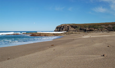 Wallarah National Park - Hervey Bay Accommodation 0