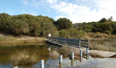 Wallarah National Park - Hervey Bay Accommodation 1