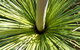 Wallarah National Park - thumb 3