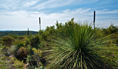 Munmorah State Conservation Area - Hervey Bay Accommodation 1