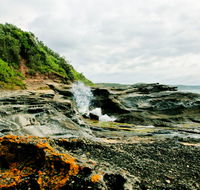 Glenrock State Conservation Area - Hervey Bay Accommodation