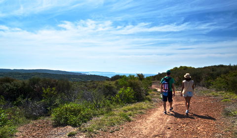 Moonee Beach Trail - Hervey Bay Accommodation 0