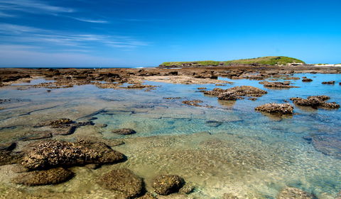 Moonee Beach Trail - Hervey Bay Accommodation 2