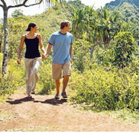 Hoddles Track - Tourism Hervey Bay