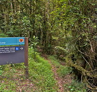 Red Cedar loop - Hervey Bay Accommodation