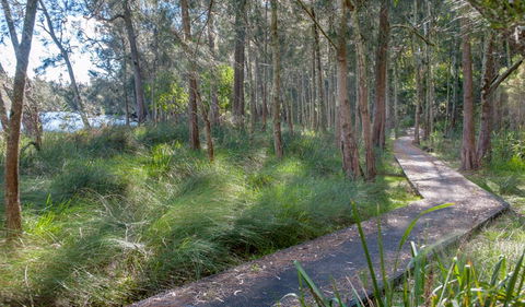 Anabranch Loop Track - Hervey Bay Accommodation 3