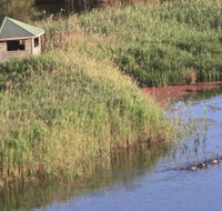 Spring Creek Bird Hide - Hervey Bay Accommodation