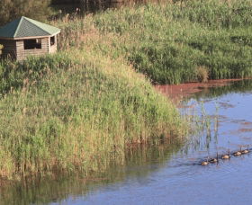 Spring Creek Bird Hide - Hervey Bay Accommodation 0