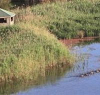 Spring Creek Wetlands Walk - Hervey Bay Accommodation