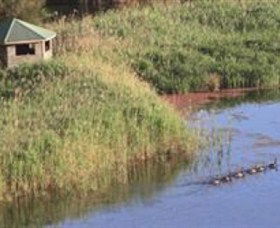Spring Creek Wetlands Walk - Tourism Hervey Bay 0