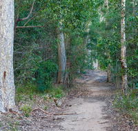 Delta track - Hervey Bay Accommodation