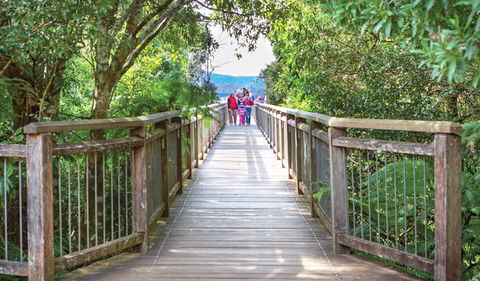 Skywalk Lookout - Hervey Bay Accommodation 0