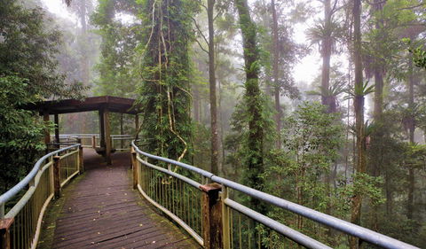 Walk With The Birds Boardwalk - Hervey Bay Accommodation 3