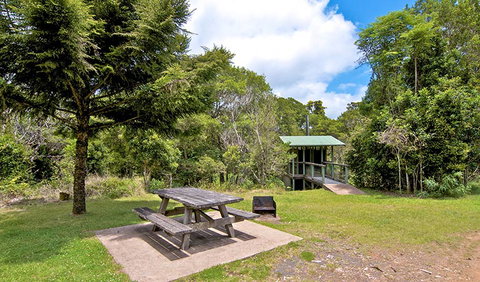 Antarctic Beech Picnic Area - Hervey Bay Accommodation 1