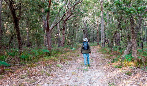 Narrawallee Inlet Walking Track - Hervey Bay Accommodation 1