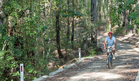 Monument Beach Ride From Bendalong - Hervey Bay Accommodation 2