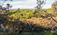 Burrawang Track - Conjola Beach To Buckleys Point - thumb 1