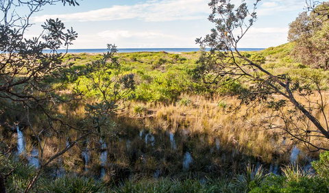 Burrawang Track - Conjola Beach To Buckleys Point - Hervey Bay Accommodation 1
