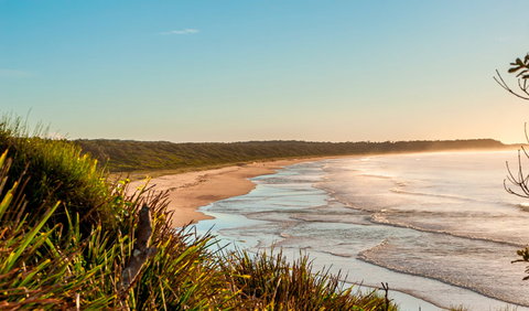 Burrawang Track - Conjola Beach To Buckleys Point - Hervey Bay Accommodation 2