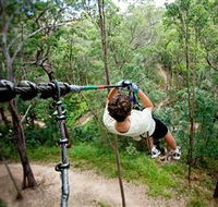 TreeTop Challenge - Tourism Hervey Bay