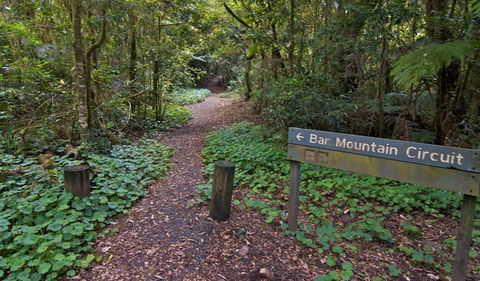 Bar Mountain Circuit - Hervey Bay Accommodation 0