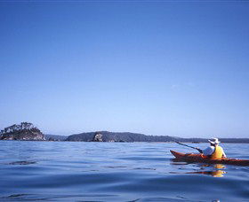 Kayaking Batemans Bay - Hervey Bay Accommodation 0