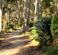 Square Head track 2 - Hervey Bay Accommodation