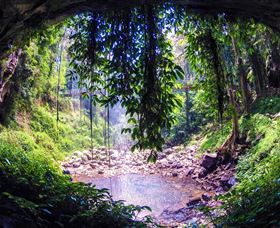 Dorrigo Rainforest Centre - Hervey Bay Accommodation 1