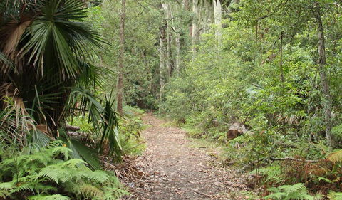 Lake Walking Track - Hervey Bay Accommodation 0